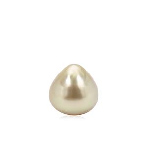  Golden South Sea Cultured Pearl (10 MM) (N)