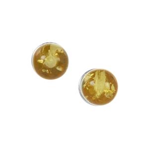 Baltic Champagne Amber Sterling Silver Earrings (5mm)