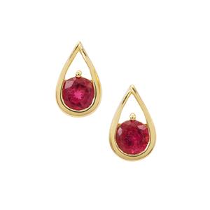 1.60ct Nigerian Rubellite 9K Gold Earrings