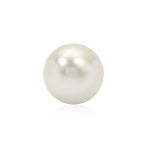  South Sea Cultured Pearl (N) (11x12mm)
