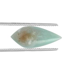 29.80ct Aquaprase™ (N)