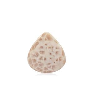 22.98ct Natrolite 