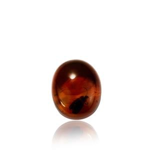 1 of 1 - Mexican Amber (N) 