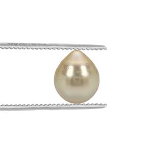  Golden South Sea Cultured Pearl (N)
