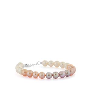 Fancy Ombre Cultured Pearl Bracelet (8 x 7mm)
