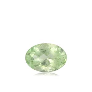 .48ct Paraiba Tourmaline (H)