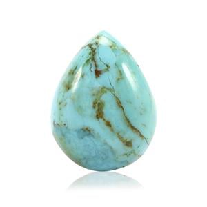 10.85ct Cochise Turquoise (CP)
