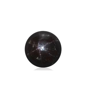 6.18ct Star Garnet (N)