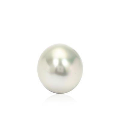 South Sea Cultured Pearl (11 to 12mm) (N)
