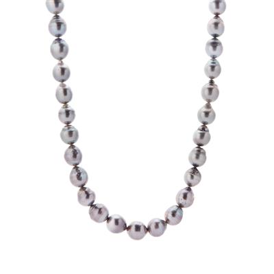 Tahitian Cultured Pearl Necklace in Sterling Silver