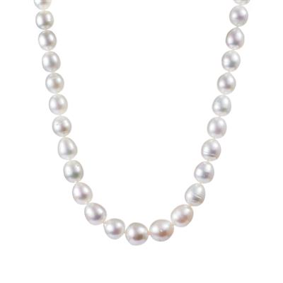 South Sea Cultured Pearl Graduated Necklace in Sterling Silver.