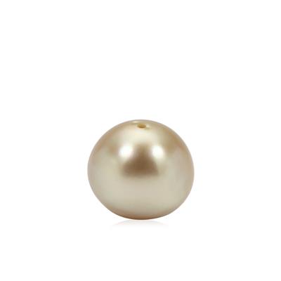 Golden South Sea Cultured Pearl (10 MM) (N)