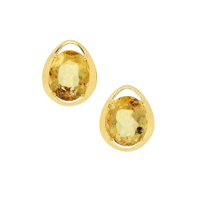 Dominican Amber Earrings in Gold Plated Sterling Silver 2.05cts