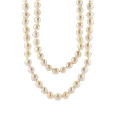 Akoya Cultured Pearl Necklace in Sterling Silver (7.50mm)