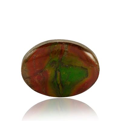 Ammolite (14.50mm x 19.50mm) 