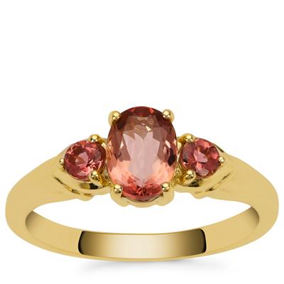 Blush Tourmaline Ring in 9K Gold 1.10cts