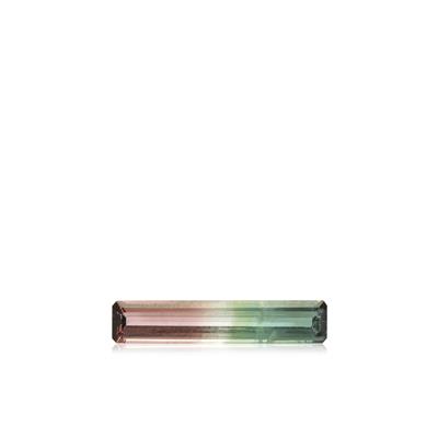 1.70ct AAA Rainbow Watermelon Tourmaline (N)