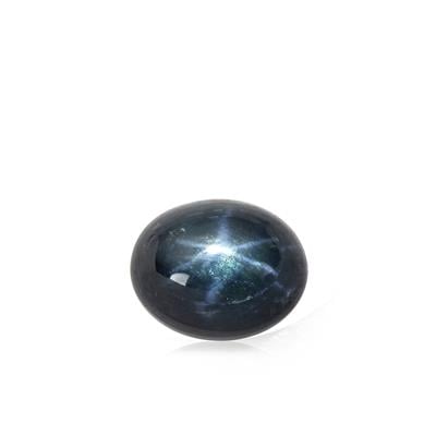 13.80ct Blue Star Sapphire (N)
