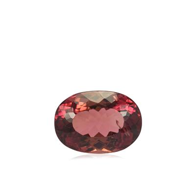 4.85ct Padparadscha Tourmaline (N)