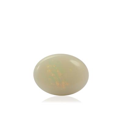 .57ct Australian Opal (N)