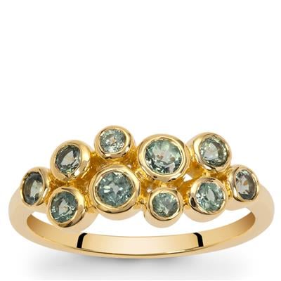 Montana Sapphire Ring in 9K Gold 1ct