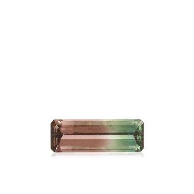 1.27ct SI AAA Rainbow Watermelon Tourmaline (N)