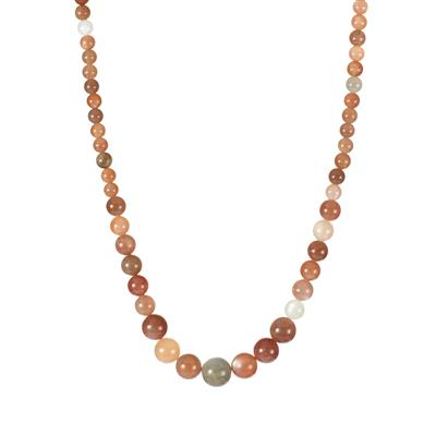 Multi-Colour Moonstone Graduated Necklace  in Sterling Silver 174.15cts