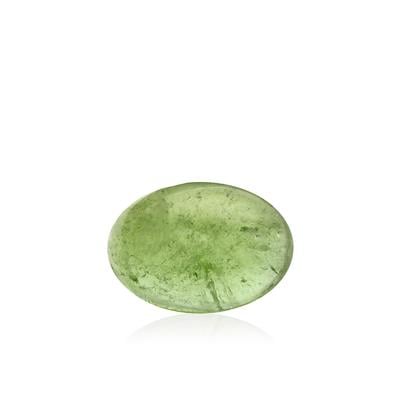 1.05ct Multi Colour Tourmaline (N)