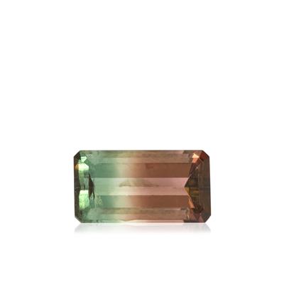 1.47ct AAA Rainbow Watermelon Tourmaline (N)