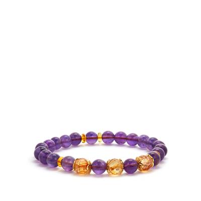 Zambian Amethyst, Citrine Elastic Bracelet with Baltic Amber in Gold Tone Sterling Silver 80.50cts