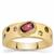 Rubellite Ring with Multi-Colour Tourmaline in 9K Gold 0.65cts