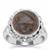 Arizona Pietersite Ring in Sterling Silver 6.50cts