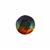 AA Ammolite 