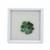 4.85ct Carnaiba Brazilian Emerald Box (O)