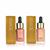 VISAGE LIQUID GOLD Highlighter 20ml - Available in Gold or Rose Gold