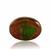 Ammolite (14.50mm x 19.50mm) 