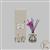 Kimbie Home Botanical 200ml Reed Diffuser with Preseved Gypsophila & Amethyst Nuggets 35cts