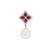 South Sea Cultured Pearl, Malagasy Ruby Pendant with White Zircon in 9K Gold (11mm)