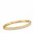 Diamonds Bangle in Gold Plated Sterling Silver 1ct