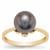Tahitian Cultured Pearl Ring with White Zircon in 9K Gold (9.50 MM)