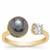 Tahitian Cultured Pearl Ring with White Zircon in 9K Gold (9 MM)