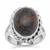 Arizona Pietersite Ring in Sterling Silver 9cts