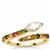 Ratanakiri Zircon Ring with Multi-Colour Tourmaline in 9K Gold 1.20cts