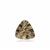 Champagne Quartz 0.2ct