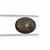 2.30ct Black Star Sapphire (N)